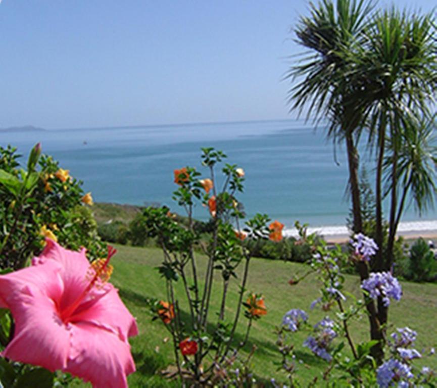 Bed and Breakfast Carneval Ocean View Taipa Exterior foto